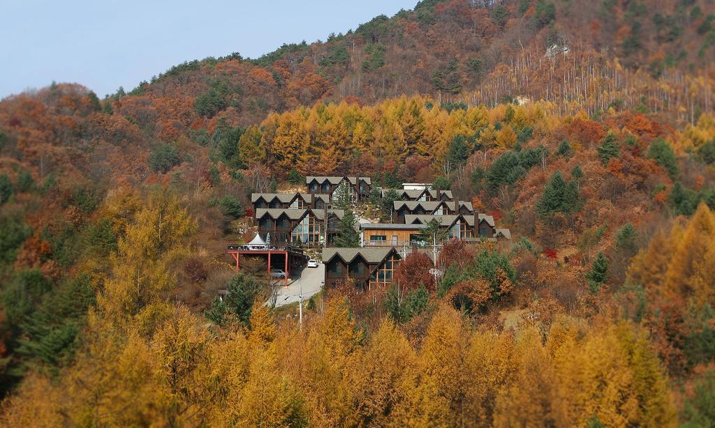 Chalet Resort Pyeongchang Exterior photo